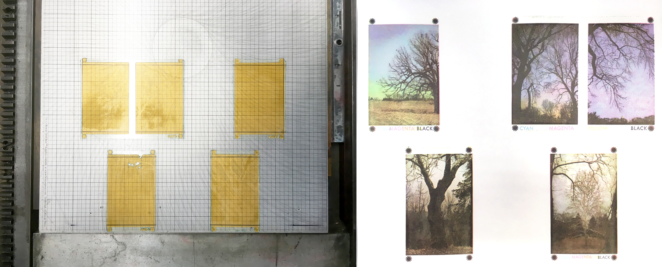 Tree Love, Adventures in CMYK, and the End of a Year at Center for Book Arts